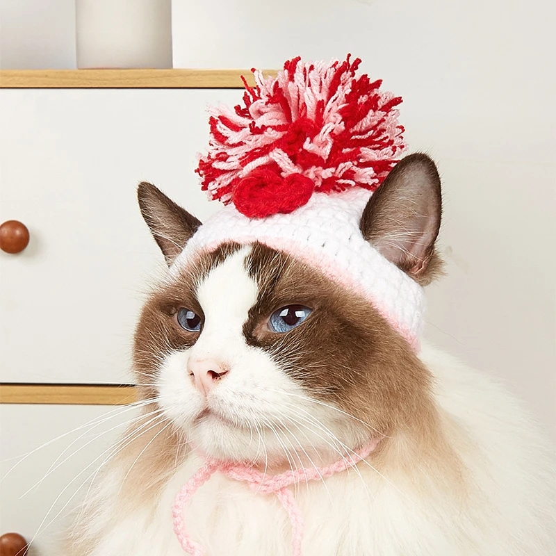 Pet Supplies Amazon - Chapeau tricoté pour animaux de compagnie,