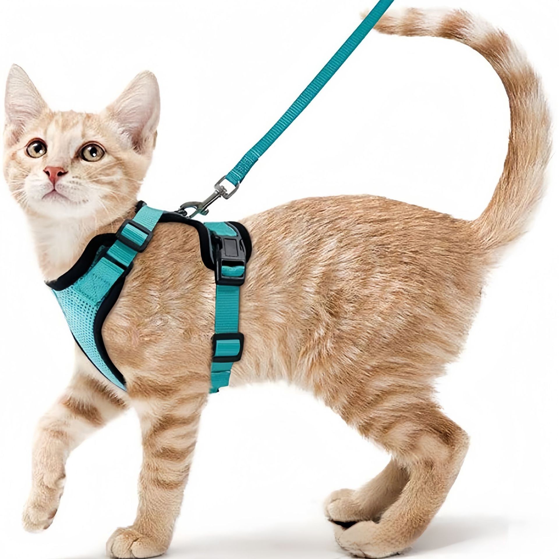 Pet Supplies Amazon - Harnais de poitrail réfléchissant anti-évasion pour
