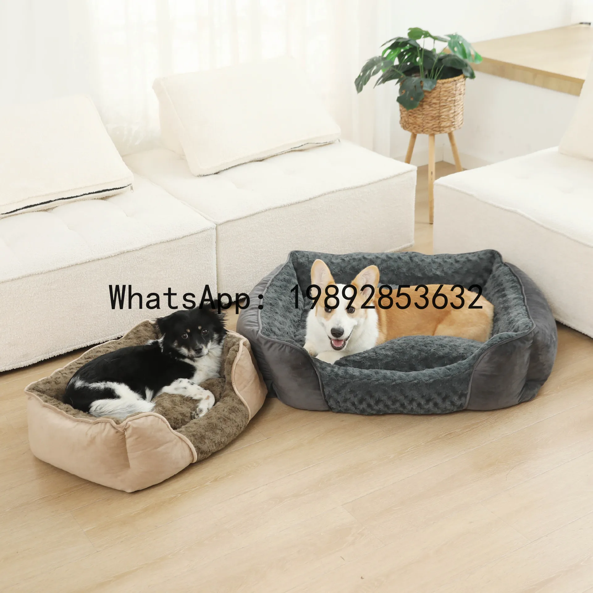 Pet X Supplies & Tack Photos - X niche pour chat, chenil semi-fermé