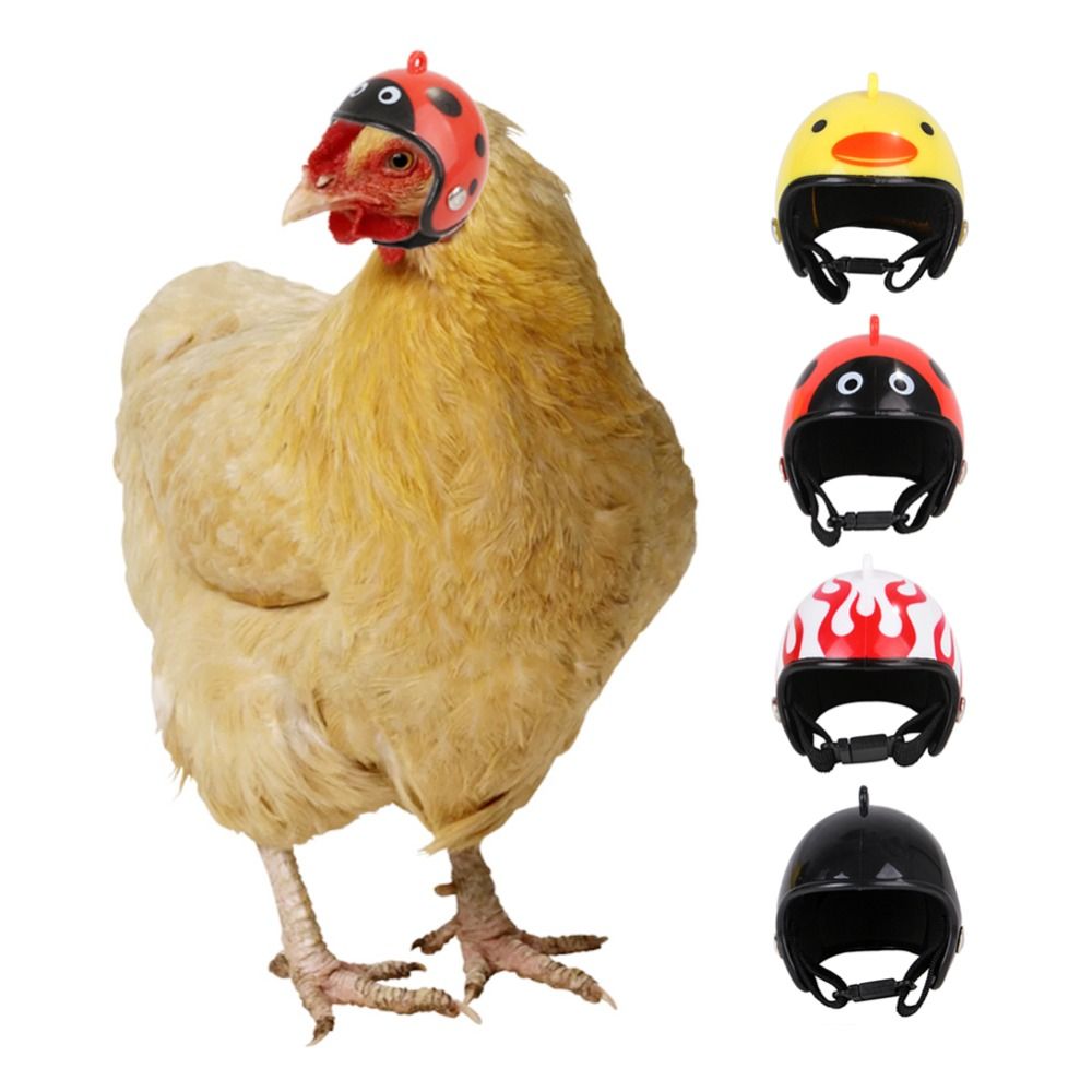 Pet X Supplies & Tack Photos - Accessoires pour animaux de compagnie ABS