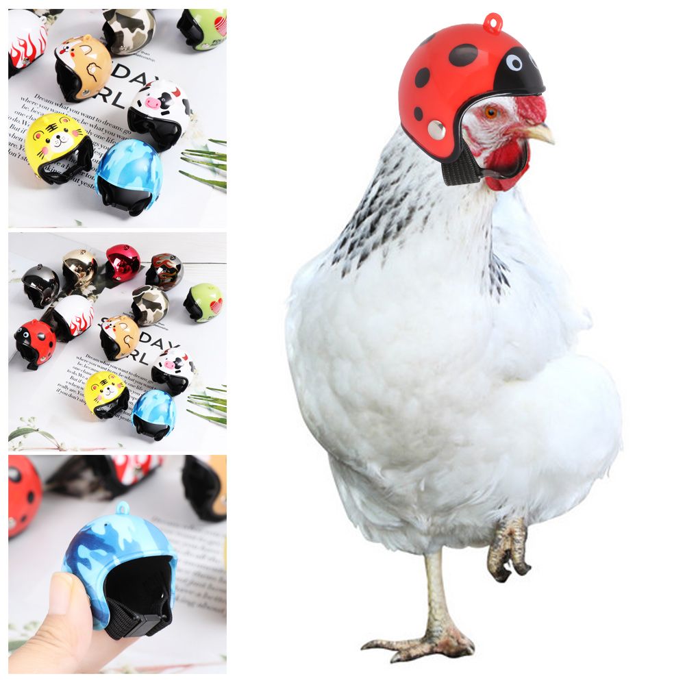 Pet X Supplies & Tack Photos - Casque de protection amusant pour animaux