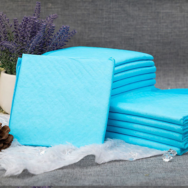 Pet X Supplies & Tack Photos - Matelas à langer jetables pour animaux