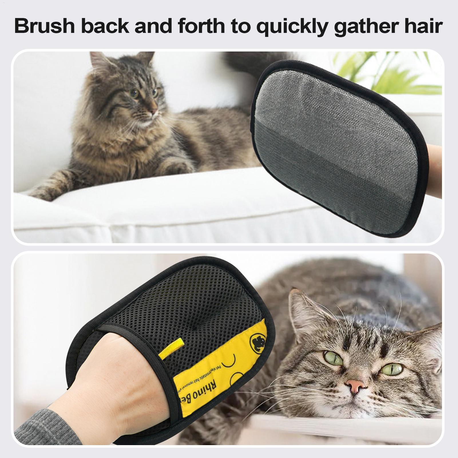 2 gants de toilettage pour cha - Pet Hair Remover Brush avis et prix