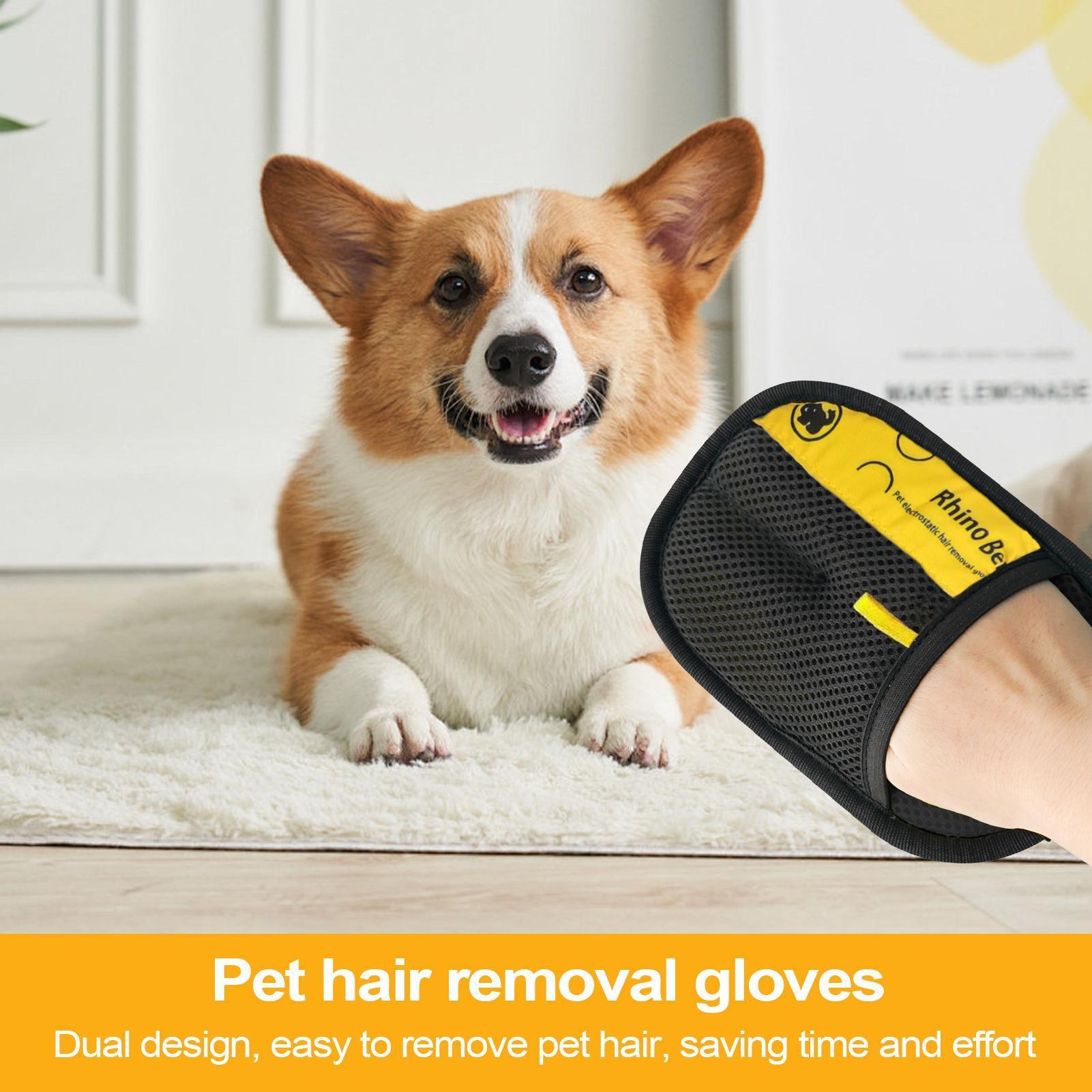 2 gants de toilettage pour cha - Pet Hair Remover Brush avis et prix