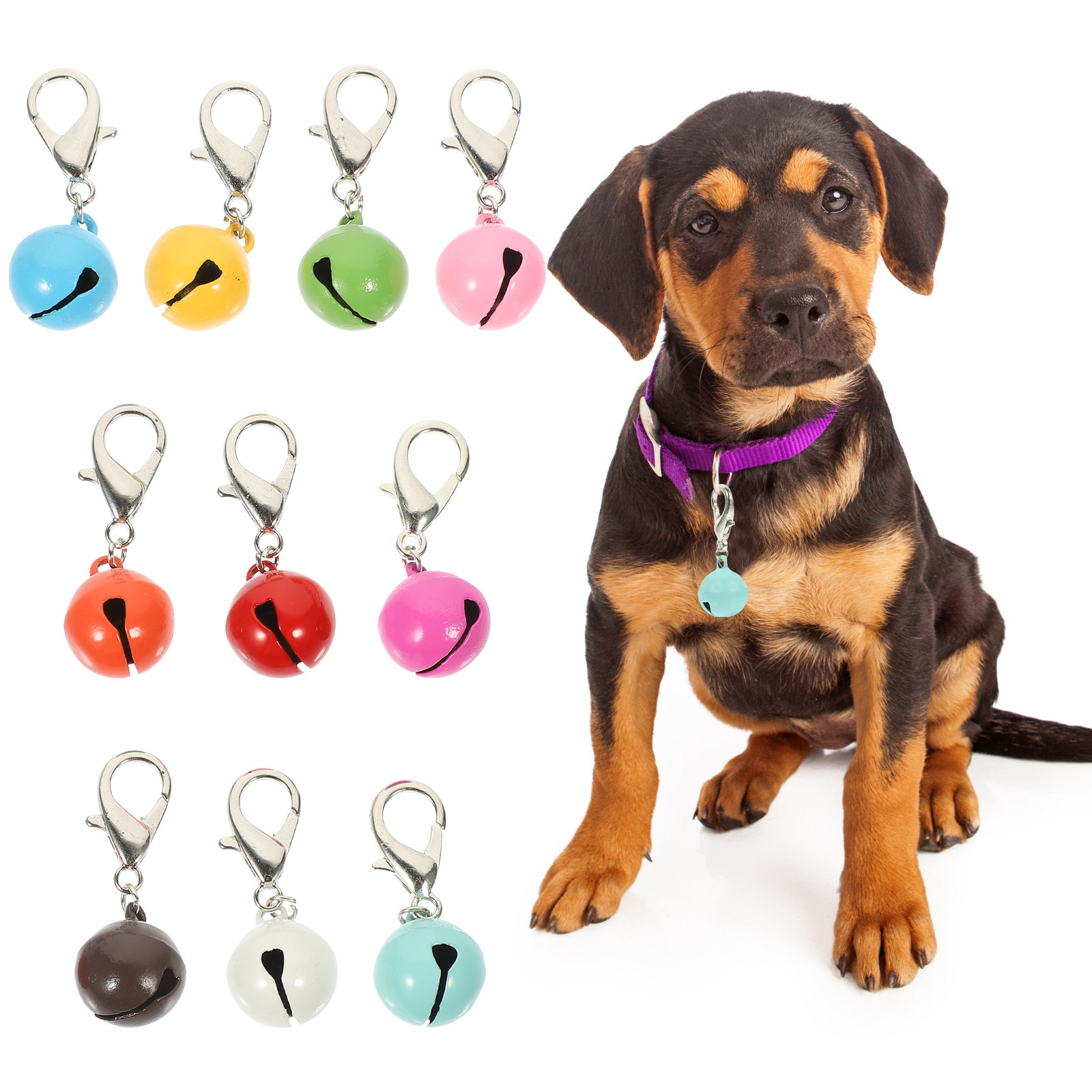 10 clochettes durables pour co - Pet Supplies Locations avis et prix