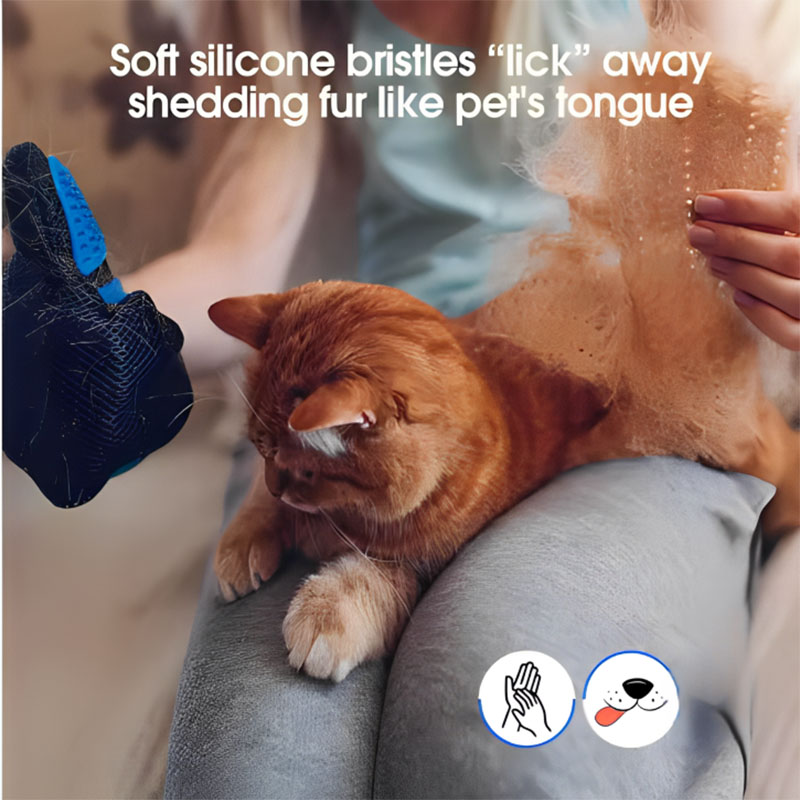 Gant de toilettage pour animau - Pet Hair Remover Brush avis et prix