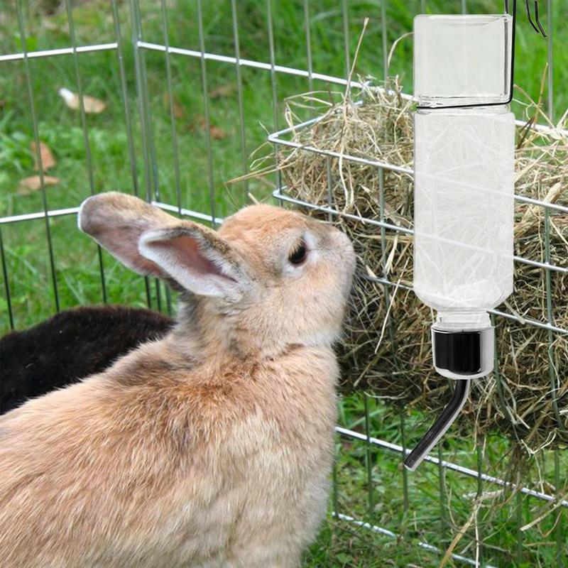 Bouteille d'eau en acier inoxy - Pet Water Fountain avis et prix