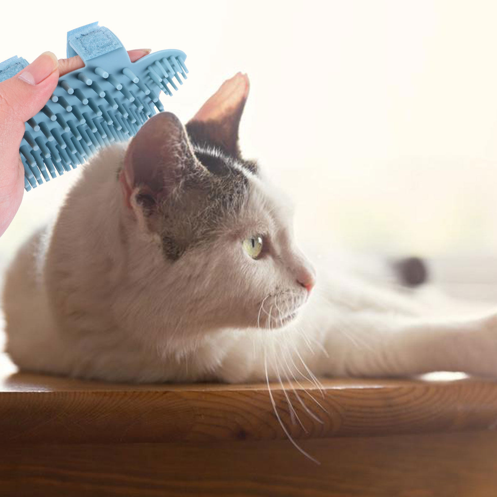 Brosse murale d'angle pour cha - Pet Hair Remover Brush avis et prix