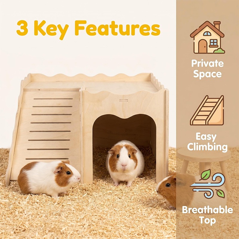 Jouets en bois pour hamsters A - Pet Supplies Amazon avis et prix