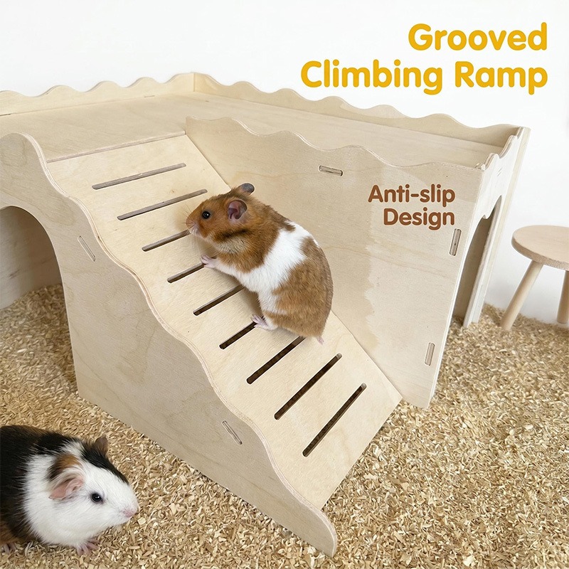 Jouets en bois pour hamsters A - Pet Supplies Amazon avis et prix