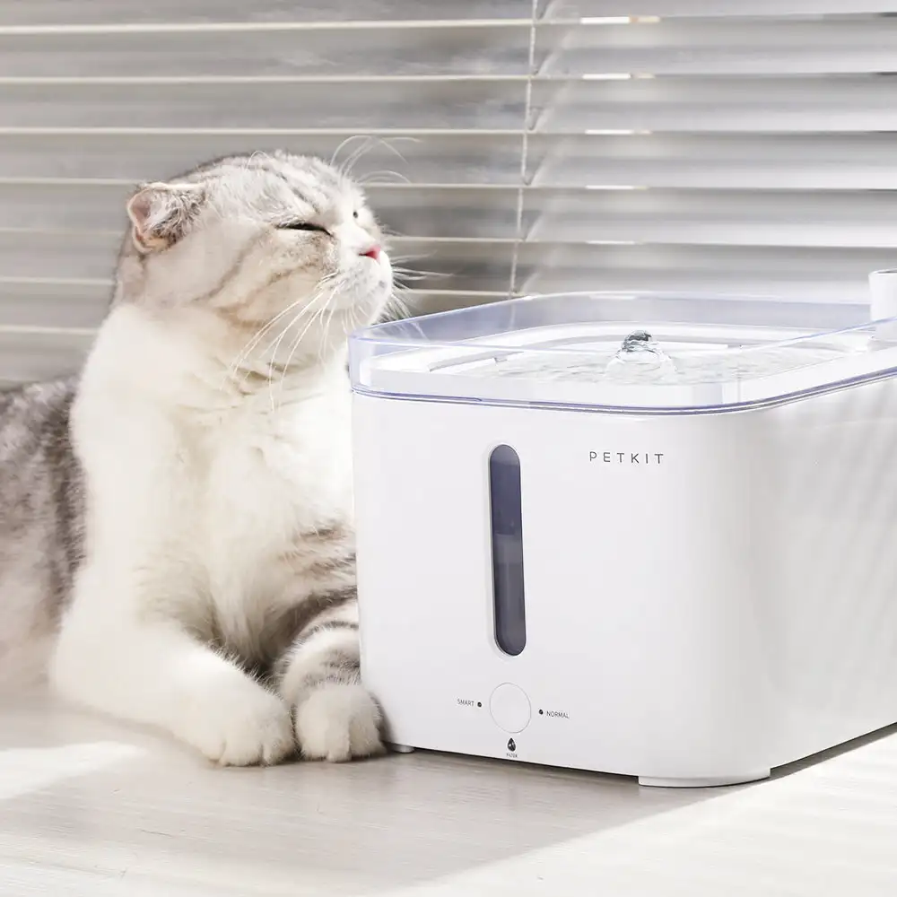 CANBOUN EVERSWEET – fontaine d - Pet Water Fountain avis et prix