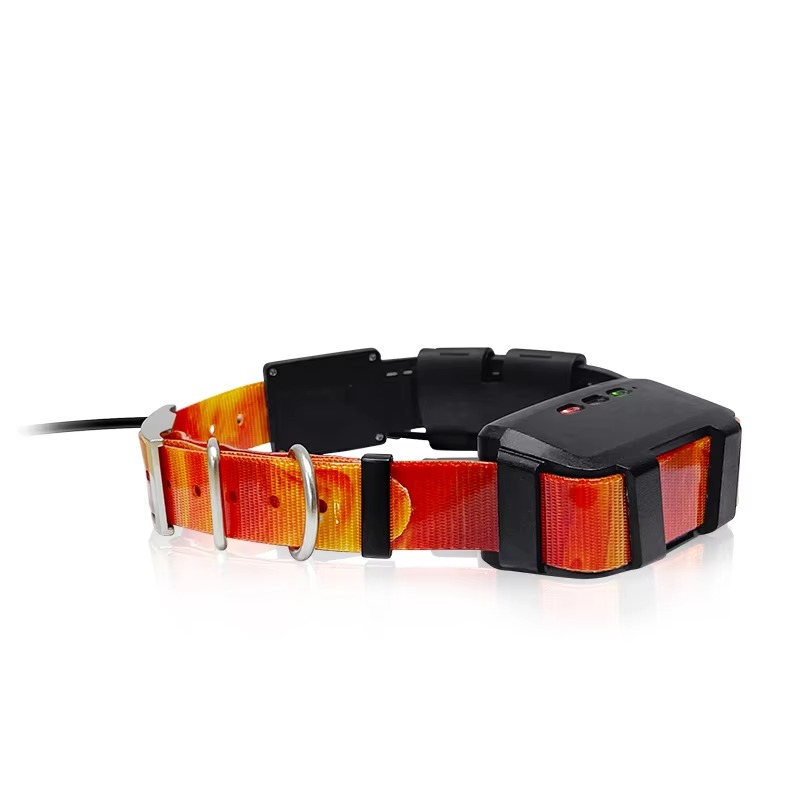 Collier GPS pour chien de chas - Pet Supplies Locations avis et prix