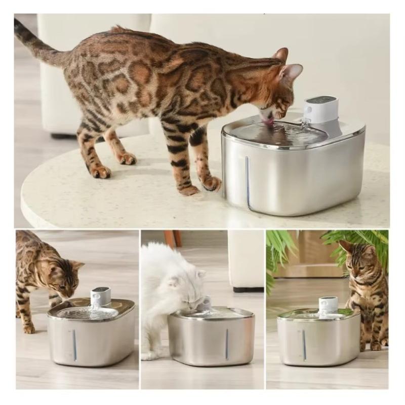 Bol à eau pour animaux de comp - Pet Water Fountain avis et prix
