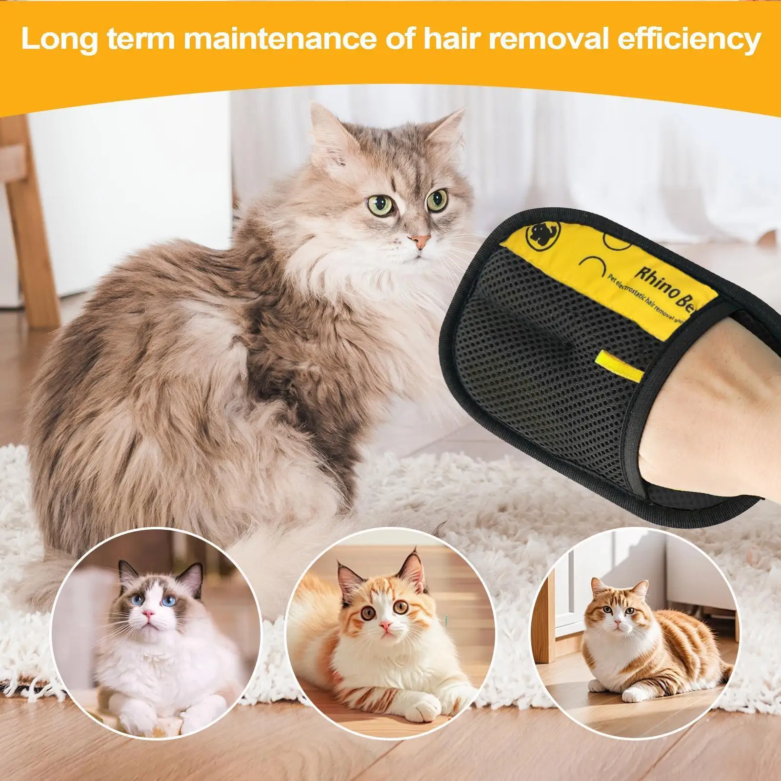 2 gants de toilettage pour cha - Pet Hair Remover Brush avis et prix