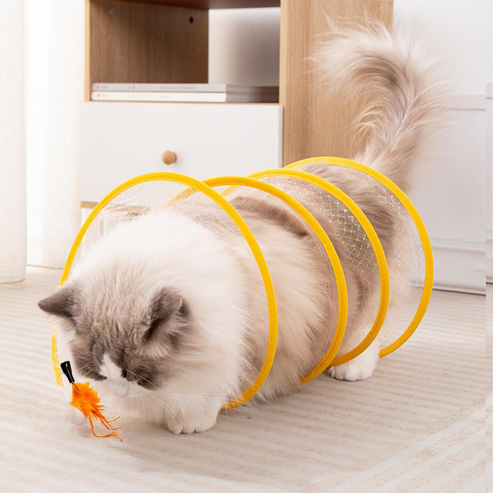 Tunnel de jeu pour chat pliabl - Cat Tunnel Toy avis et prix