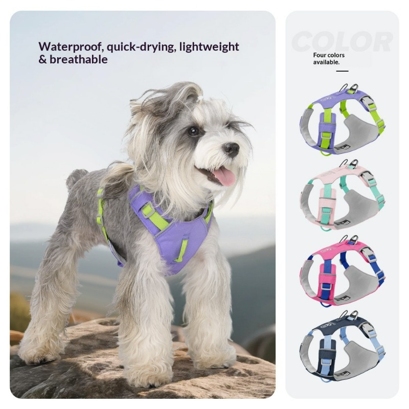 Nouveau Harnais Léger pour Chi - Pet Supplies Locations avis et prix