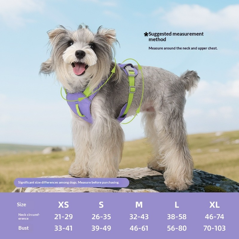 Nouveau Harnais Léger pour Chi - Pet Supplies Locations avis et prix