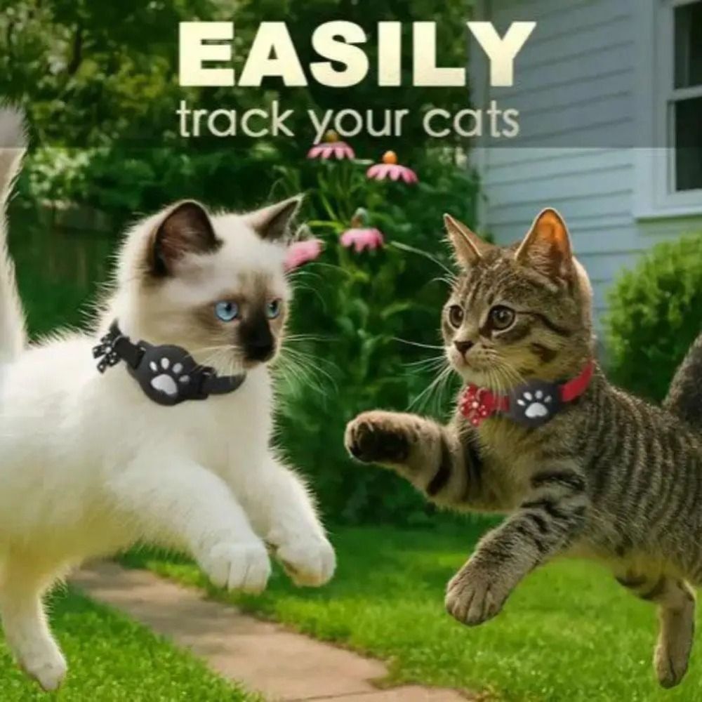 NOUVEAU Collier réfléchissant  - Pet Supplies Locations avis et prix
