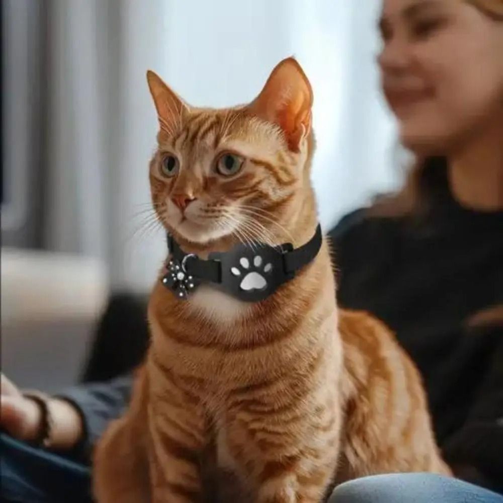 NOUVEAU Collier réfléchissant  - Pet Supplies Locations avis et prix