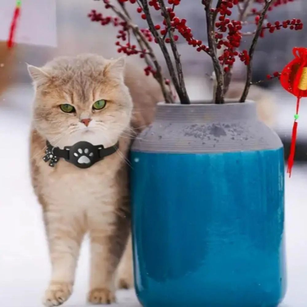 NOUVEAU Collier réfléchissant  - Pet Supplies Locations avis et prix