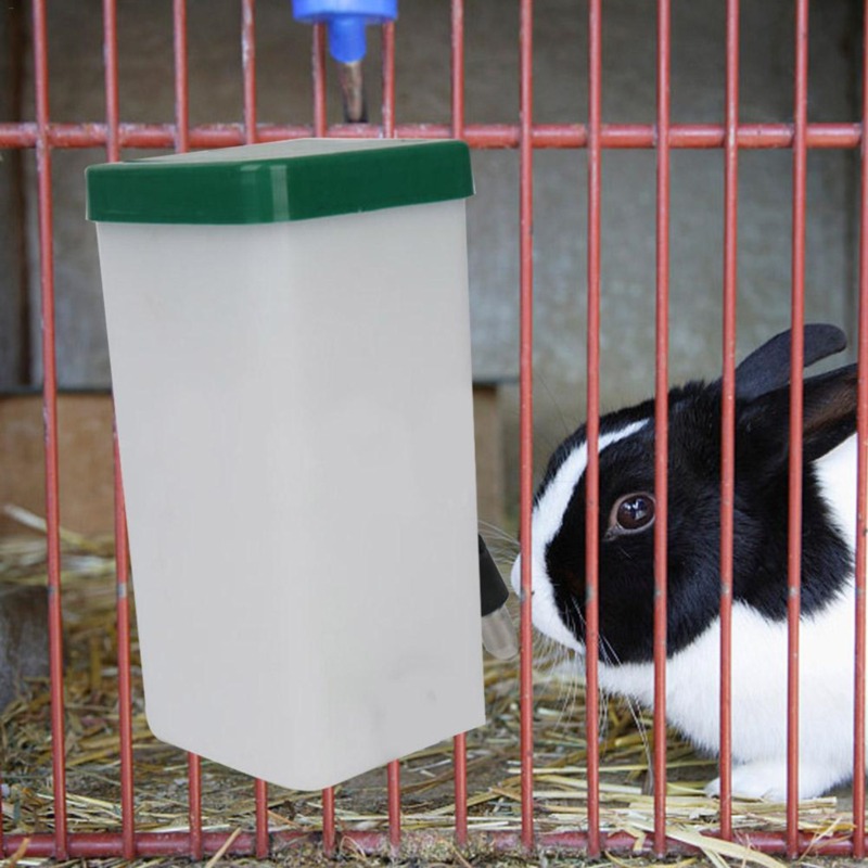 Bouteille Distributrice d'Eau  - Pet Water Fountain avis et prix