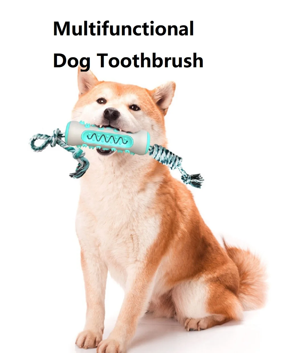 Fournitures pour animaux de co - Pet Supplies Amazon avis et prix