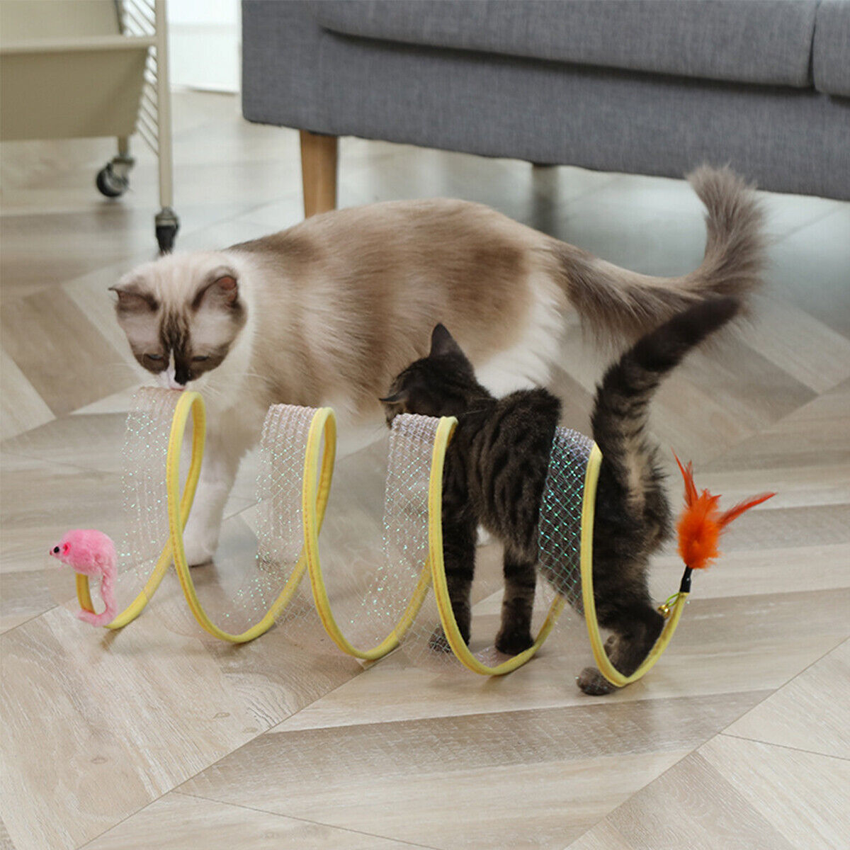 Tunnel Pliant de Type S pour C - Cat Tunnel Toy avis et prix