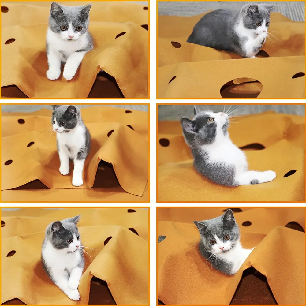 Polymères pliables pour jeu de - Cat Tunnel Toy avis et prix