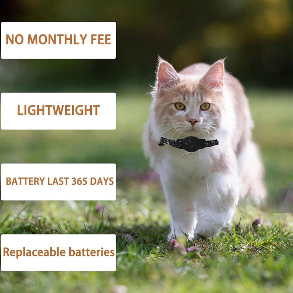 Collier de localisation créati - Pet Supplies Locations avis et prix