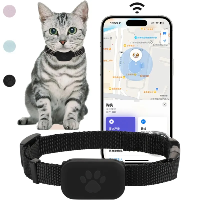 Collier GPS pour chats, collie - Pet Supplies Locations avis et prix