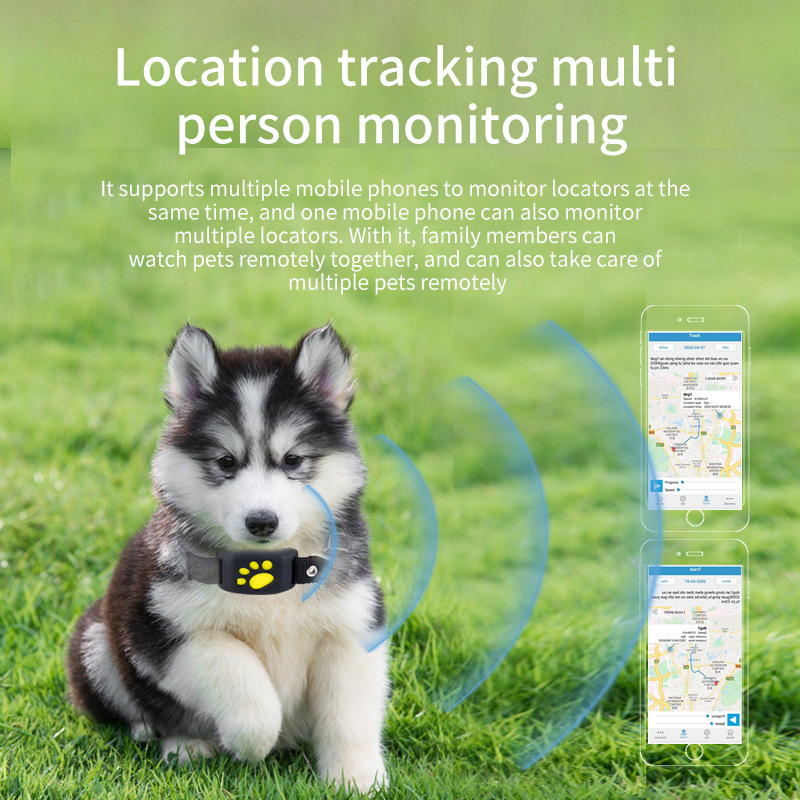 Traceur GPS pour animaux de co - Pet Supplies Locations avis et prix