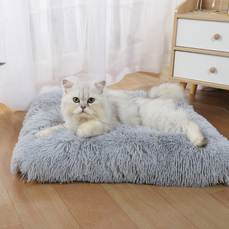 Nouveau Tapis Confortable et C - Pet Supplies Amazon avis et prix