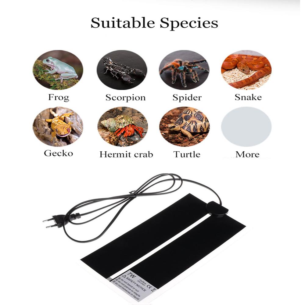 Tapis chauffant pour reptiles  - Reptile Heating Mat avis et prix