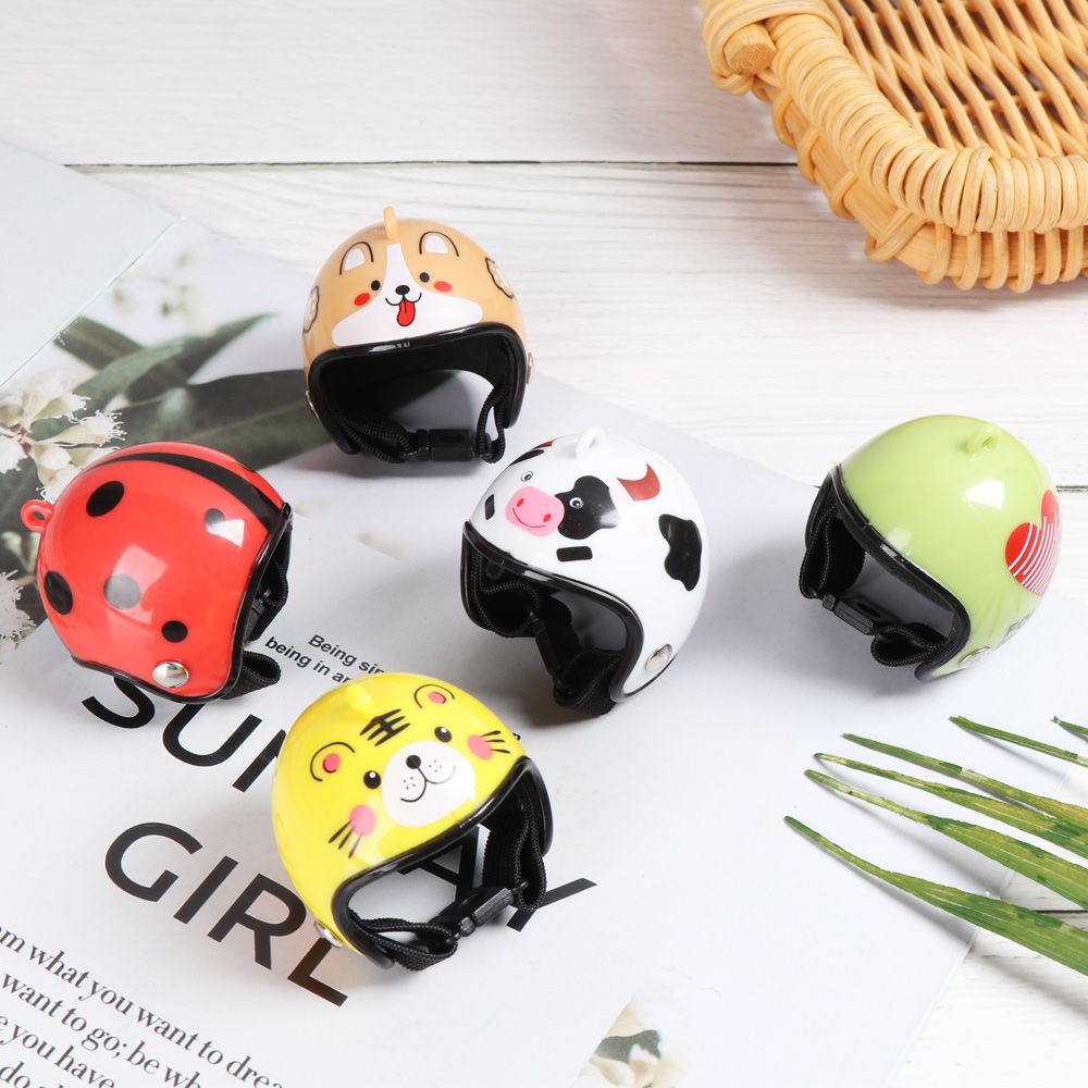 Accessoires pour animaux de co - Pet X Supplies & Tack Photos avis et prix