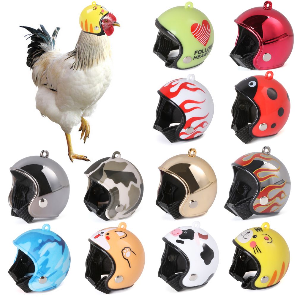 Accessoires pour animaux de co - Pet X Supplies & Tack Photos avis et prix