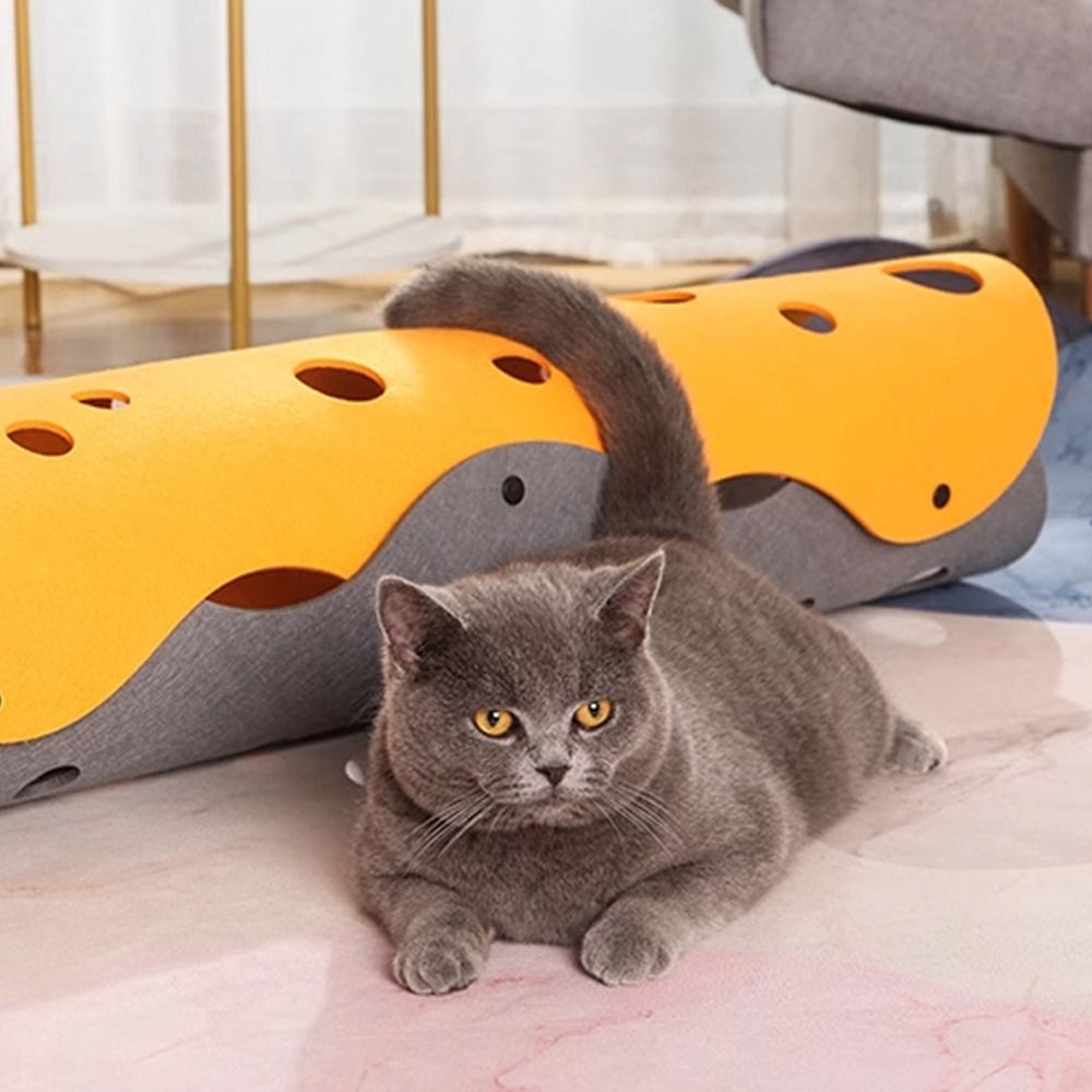 Tunnel pliable durable pour ch - Cat Tunnel Toy avis et prix
