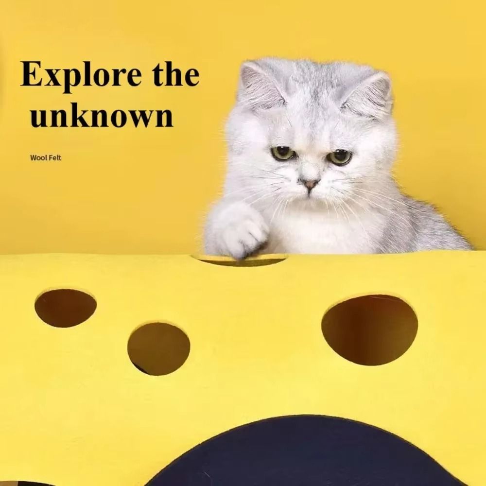 Tunnel pliable durable pour ch - Cat Tunnel Toy avis et prix
