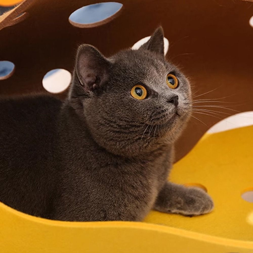 Tunnel pliable durable pour ch - Cat Tunnel Toy avis et prix