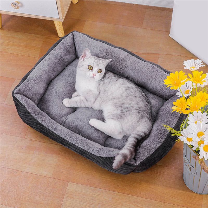 AEA9 - Lit pour chien gris, ta - Pet X Supplies & Tack Photos avis et prix