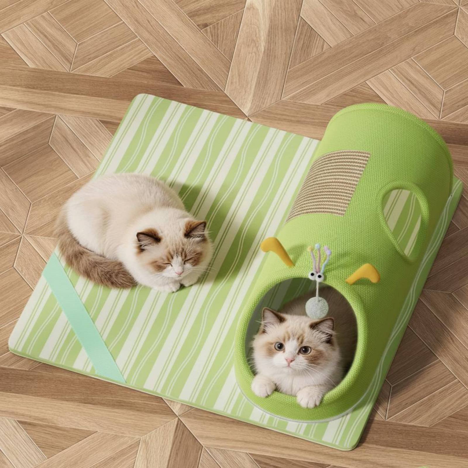 Tunnel griffoir pour chat avec - Cat Tunnel Toy avis et prix