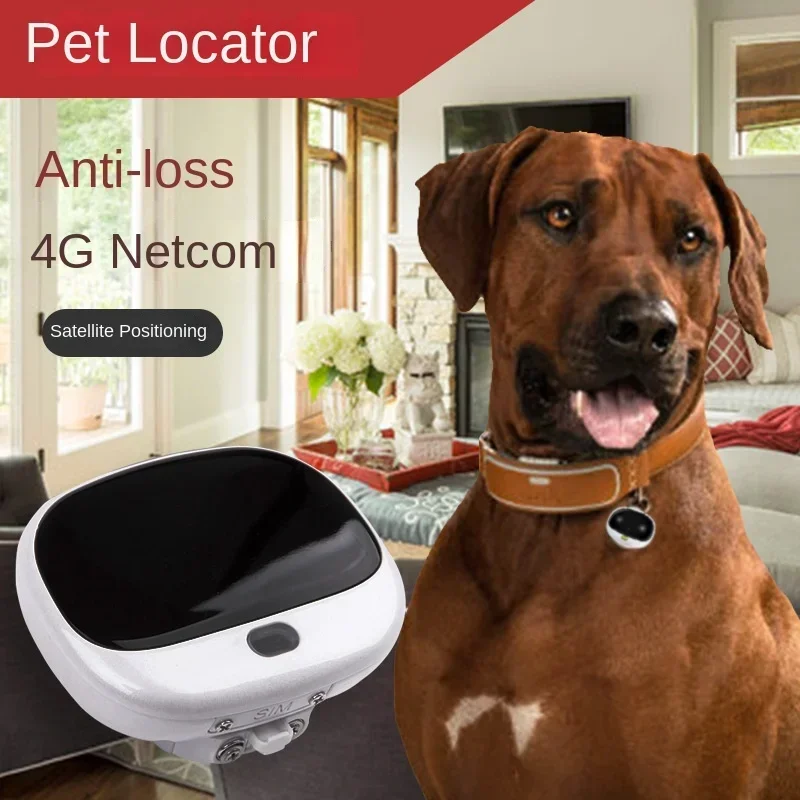 Mini Traceur GPS 4G LTE 2G GSM - Pet Supplies Locations avis et prix